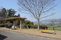 Medium_dsc_0019 (640x425)